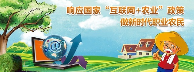 中国乡村振兴计划 促进乡村建设美好未来